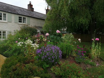 Bed and Breakfast Dorset Willows Tearoom Dorset Garden