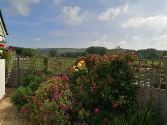 Bed and Breakfast Dorset Willows Tearoom Dorset view