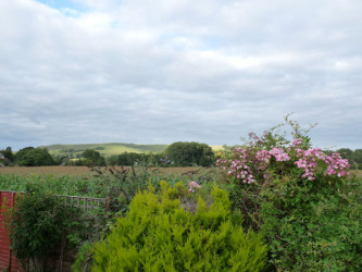 Willows Tearoom and B&B Shillingstone view